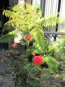 A beautiful, natural, floral arrangement outside our front door